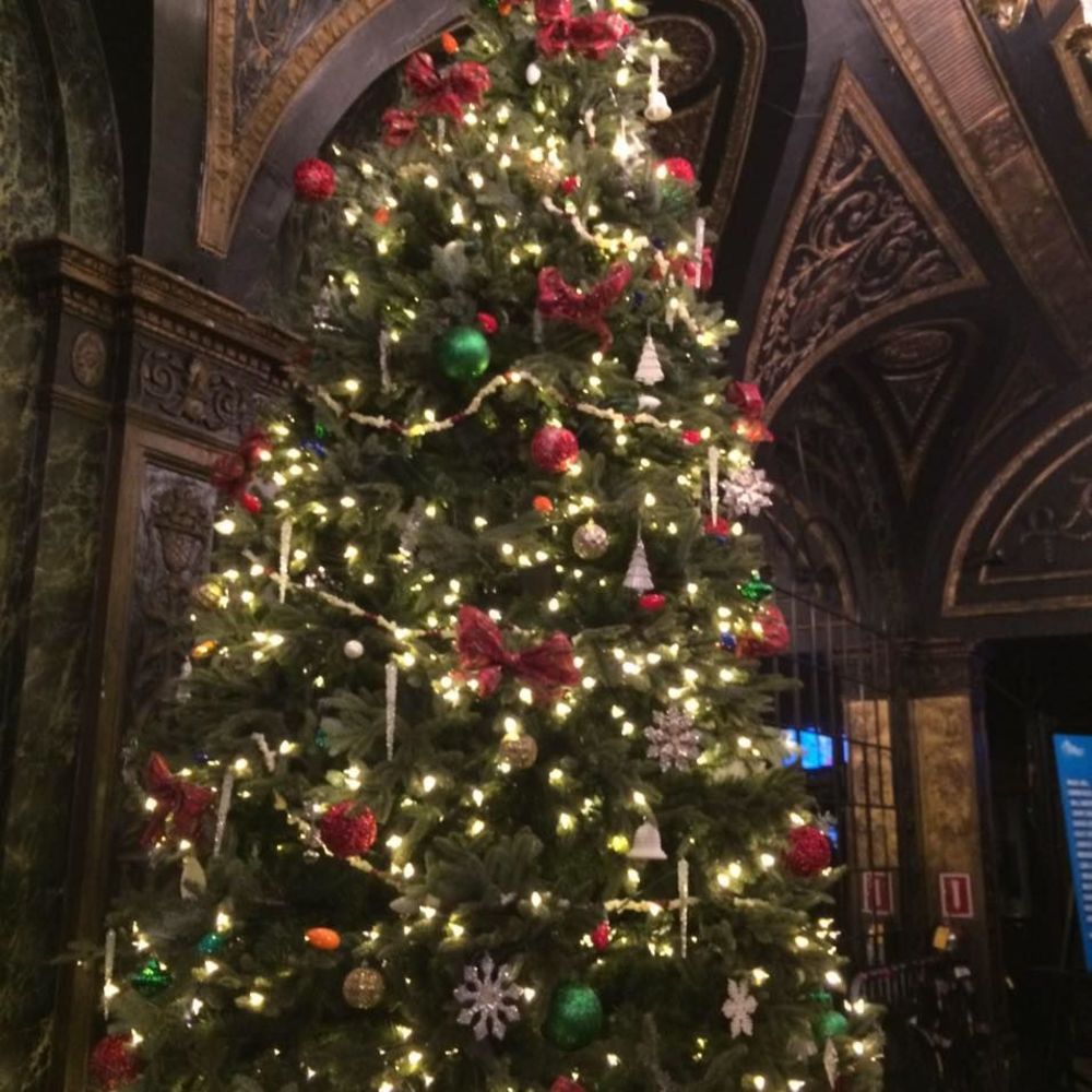 Meet your Posher, Lillian