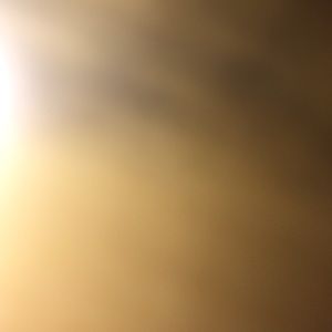 Meet your Posher, Justine