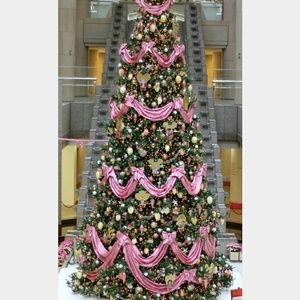 Meet your Posher, Darlene