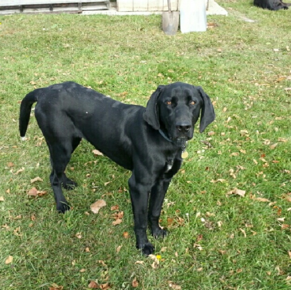 Meet your Posher, Angie