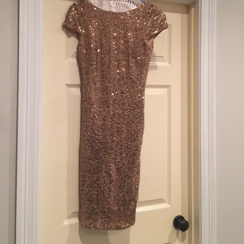 Badgley mischka cap sleeve sequin dress