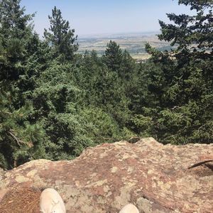 Meet your Posher, Austin