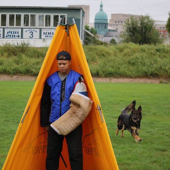 Meet your Posher, Danny - Picture 1 of 1