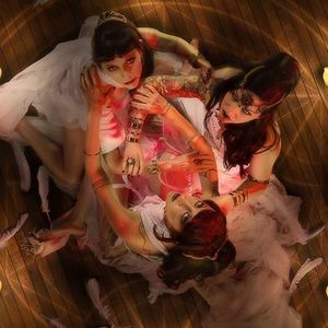 Meet your Posher, Dawn