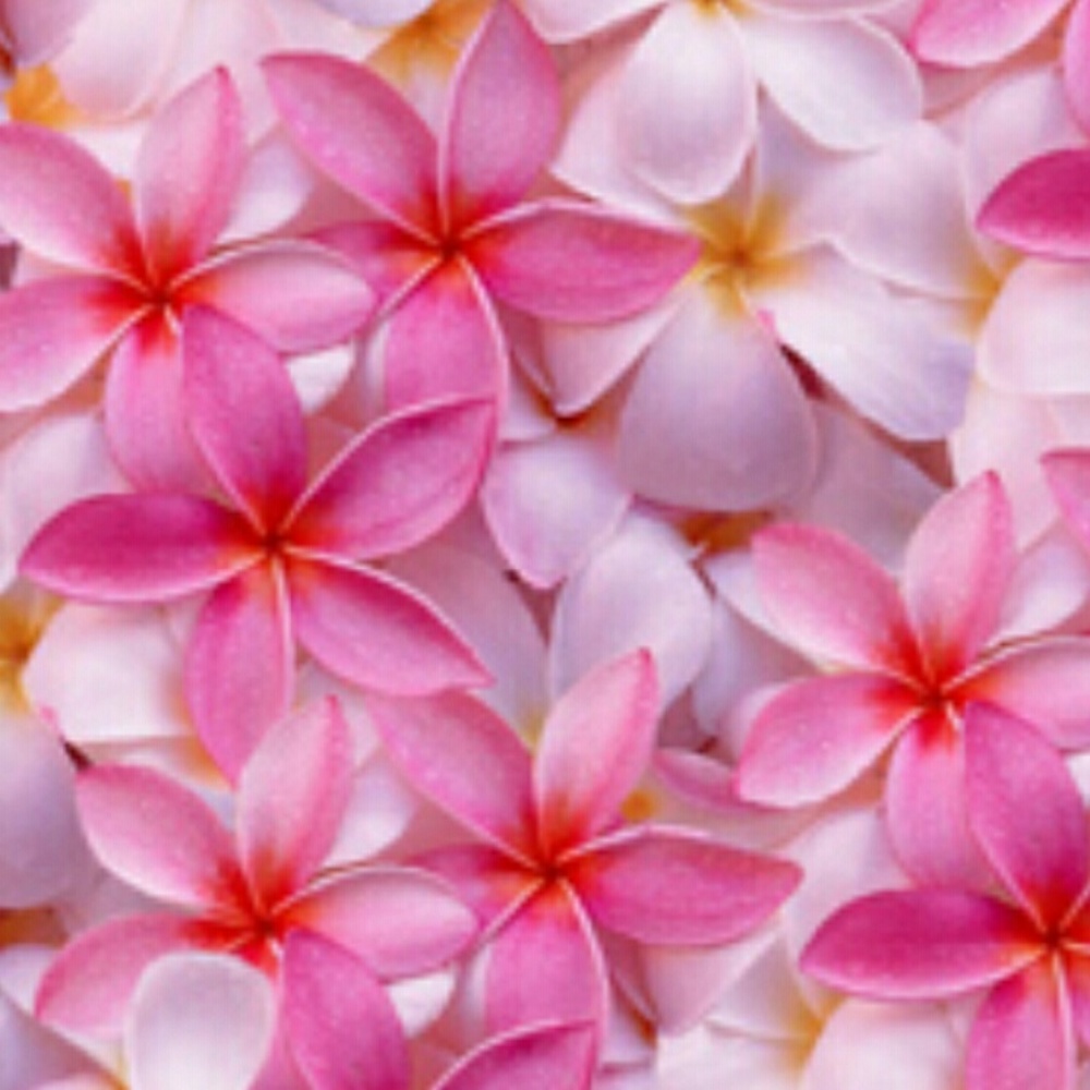 Meet your Posher, Kayle