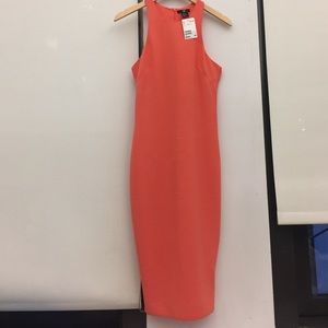 Coral Midi Bodycon