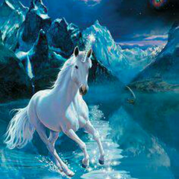 Meet your Posher, Ava - Picture 1 of 1