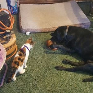 Meet your Posher, Ana