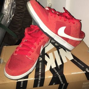 Fire & Ice Nike Sb's Sz 6