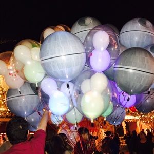 Meet your Posher, Gwendolyn