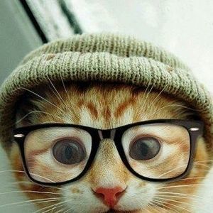 Meet your Posher, Torina