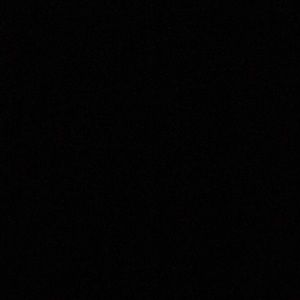 Meet your Posher, Leo