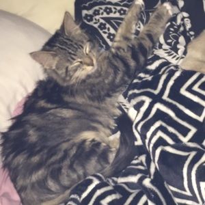 Meet your Posher, Camille