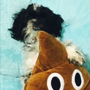 Meet your Posher, Melody