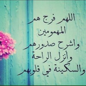 Meet your Posher, Ahmed