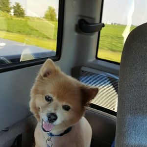 Meet your Posher, Lori