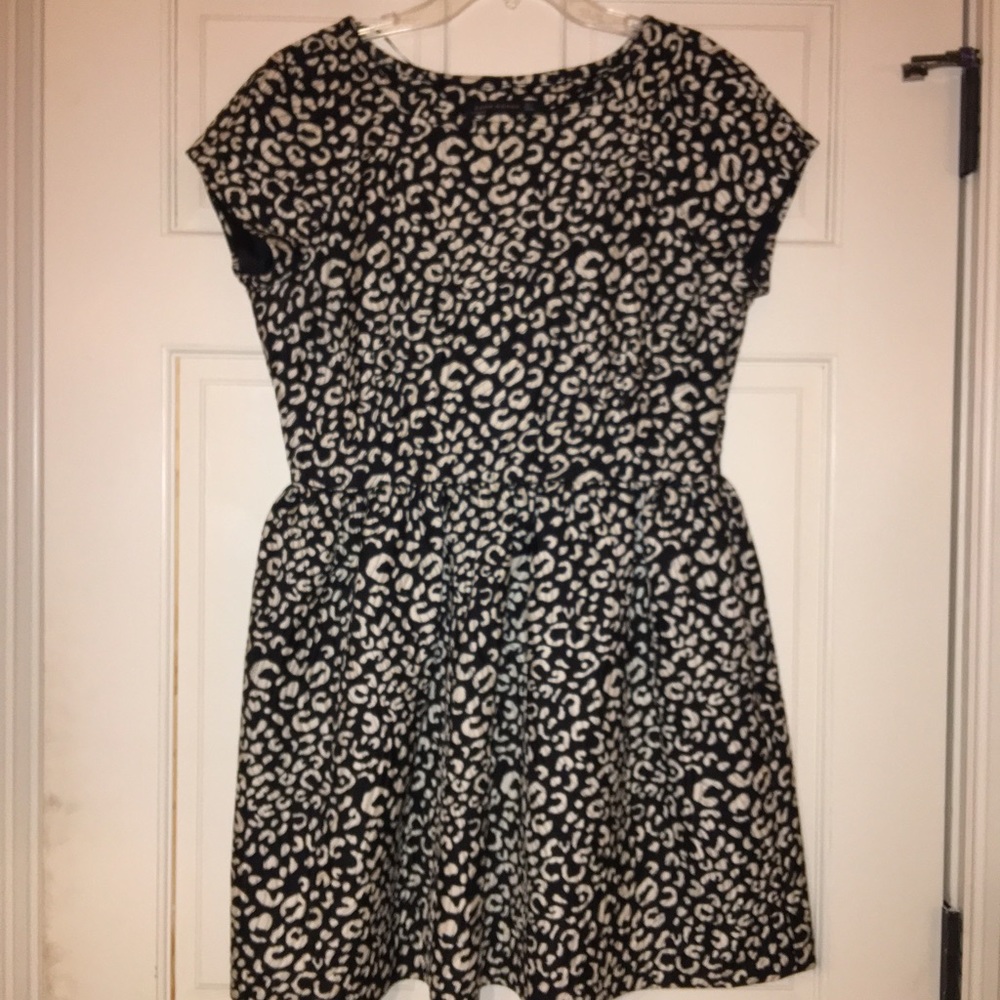 Zara Fit and Flare Dress