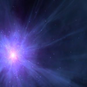 Meet your Posher, Jackson