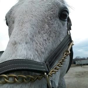 Meet your Posher, Kaykay