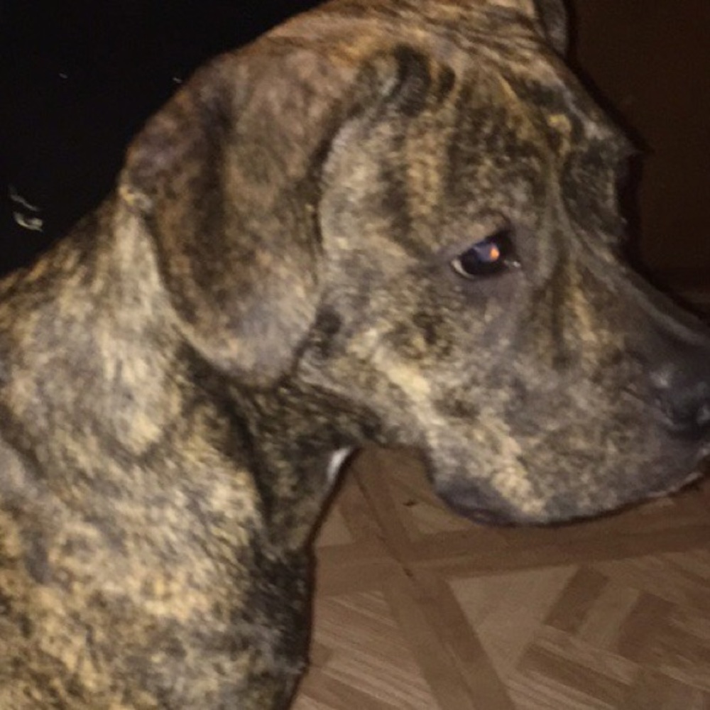 Meet your Posher, Stefhanie