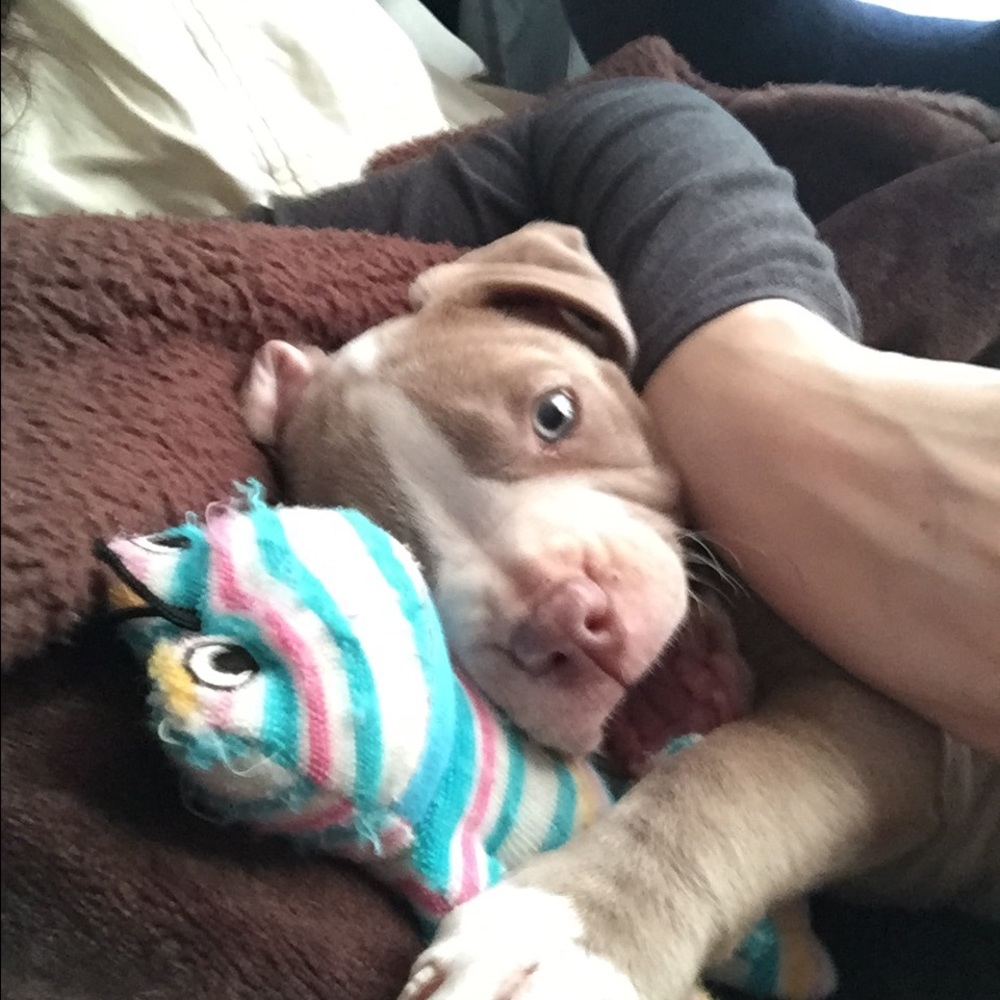 Meet your Posher, Shiran