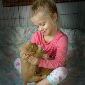 Meet your Posher, Deborah