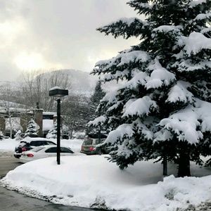 Meet your Posher, Dianne