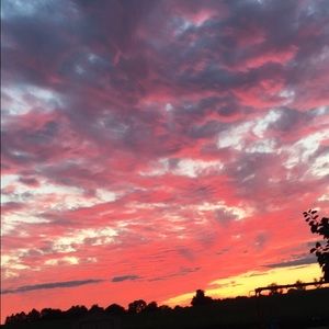 Meet your Posher, Gemma