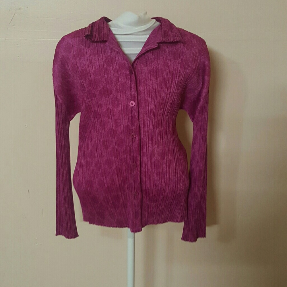 Accoridan type long sleave blouse