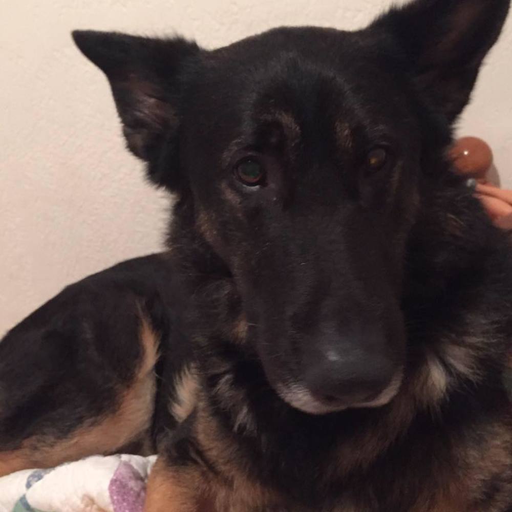 Meet your Posher, Alyson