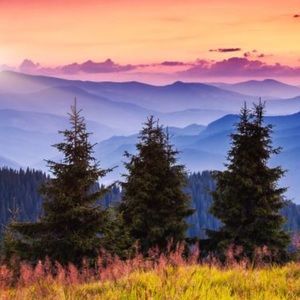 Meet your Posher, Jaci