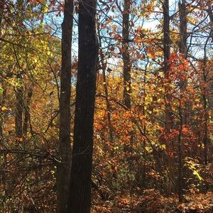 Meet your Posher, Addie