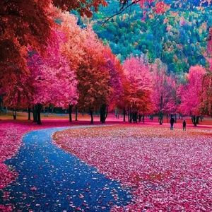 Meet your Posher, Bridget