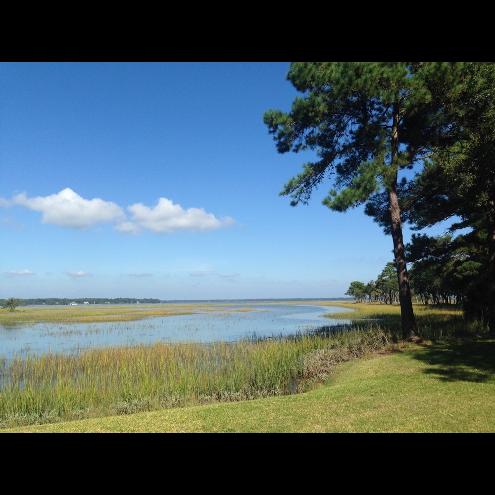 Meet your Posher, Georgia