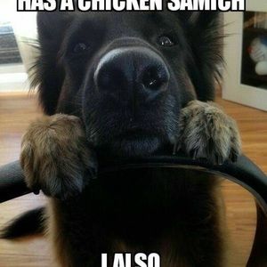 Meet your Posher, Aaron