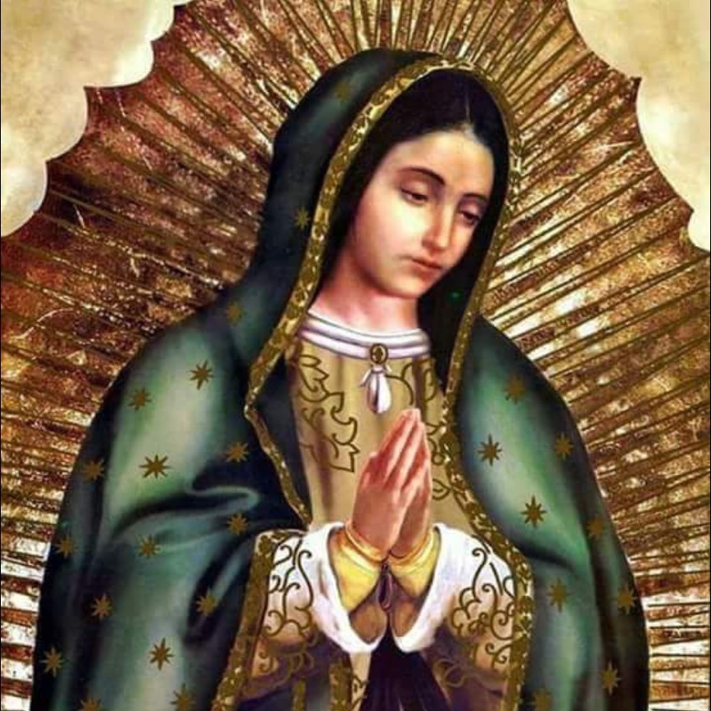 Meet your Posher, Esmeralda