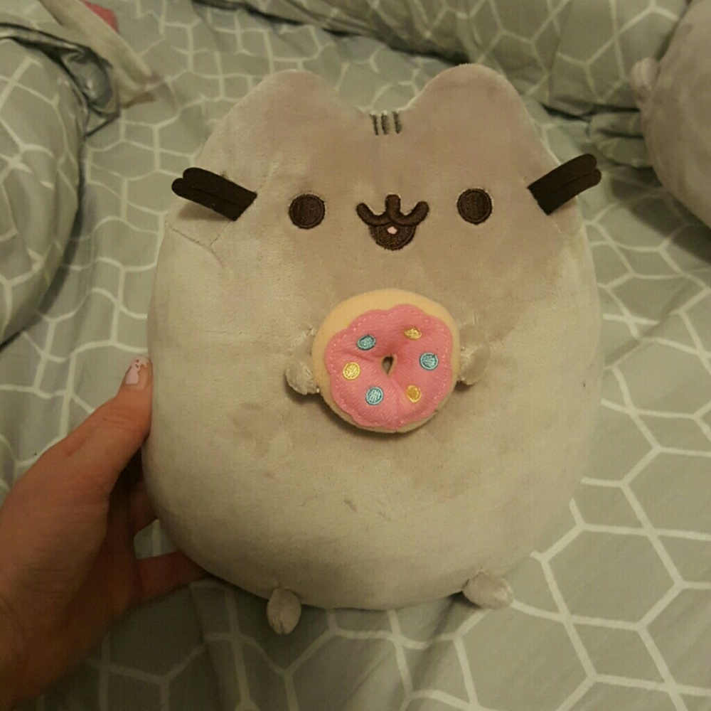 Pusheen with a donut