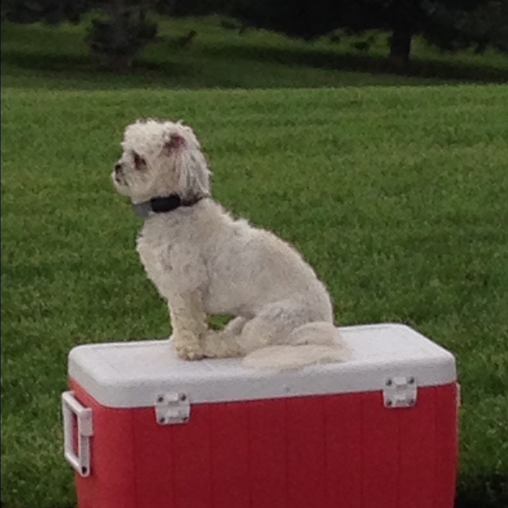 Meet your Posher, Laura