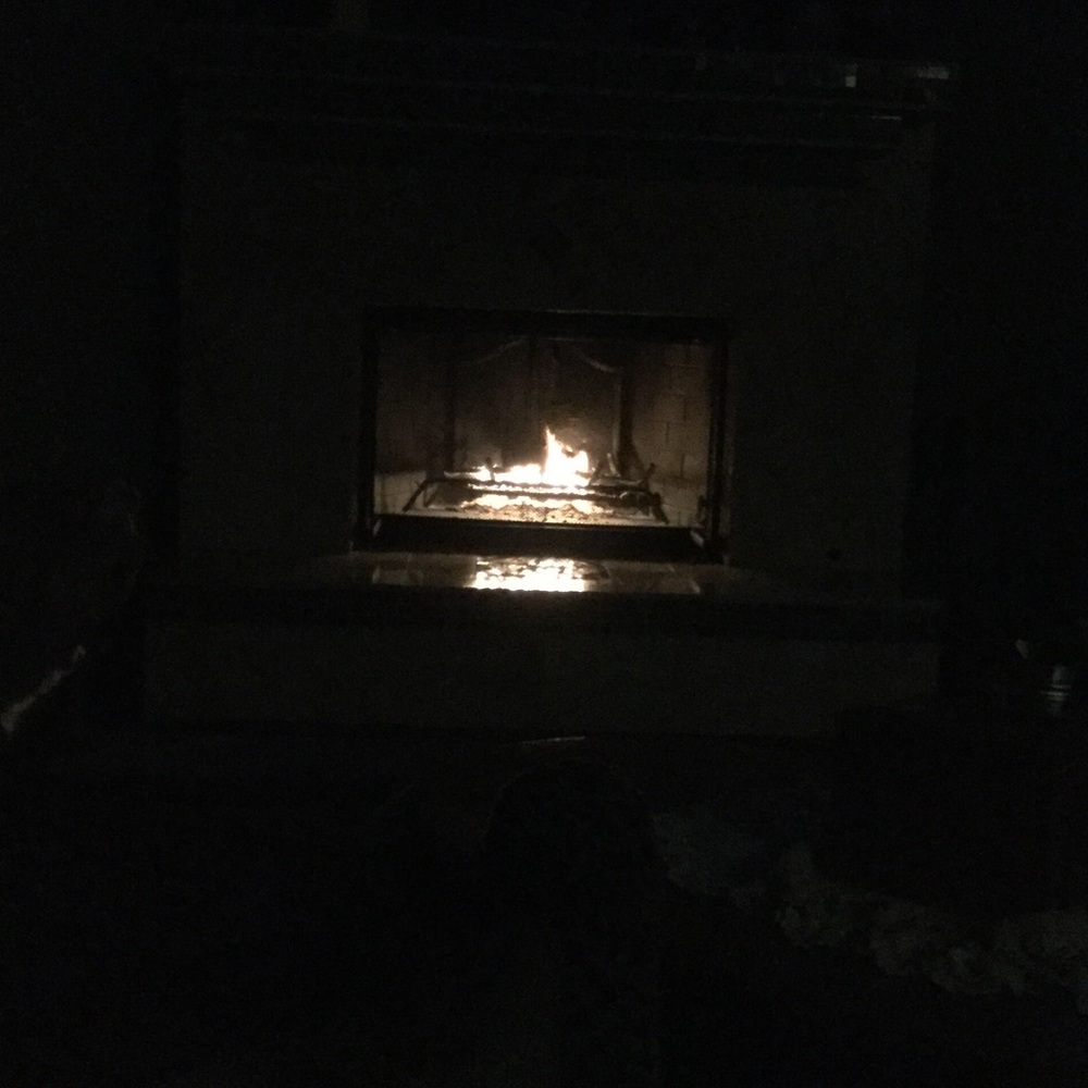 Meet your Posher, Ginger