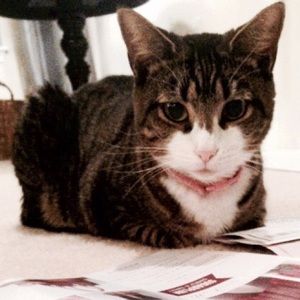 Meet your Posher, Milly