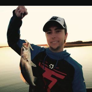 Meet your Posher, Hampton