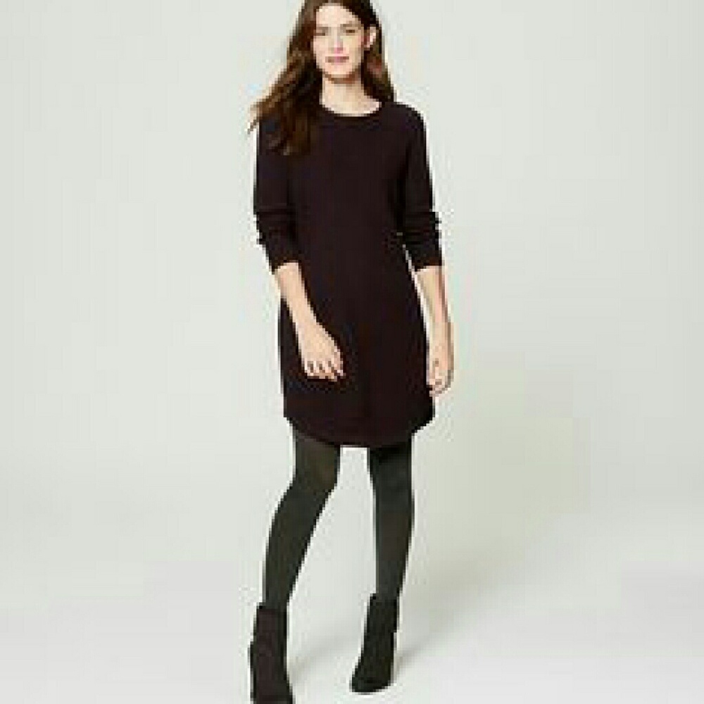 LOFT NWT Sweaterdress L
