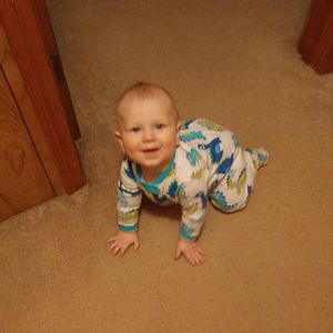 Meet your Posher, Bailey