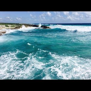 Meet your Posher, Holly