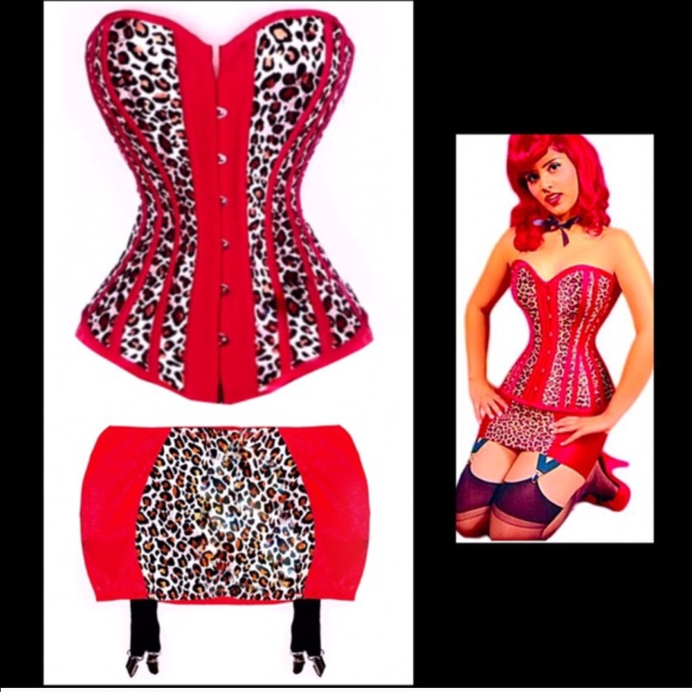 Cheetah Print Corset and Mini Skirt New in Package!