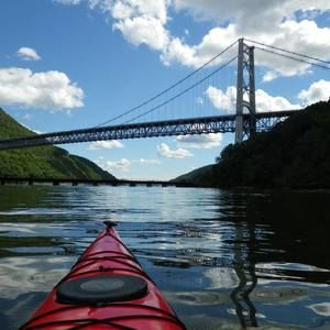 Meet your Posher, Susie