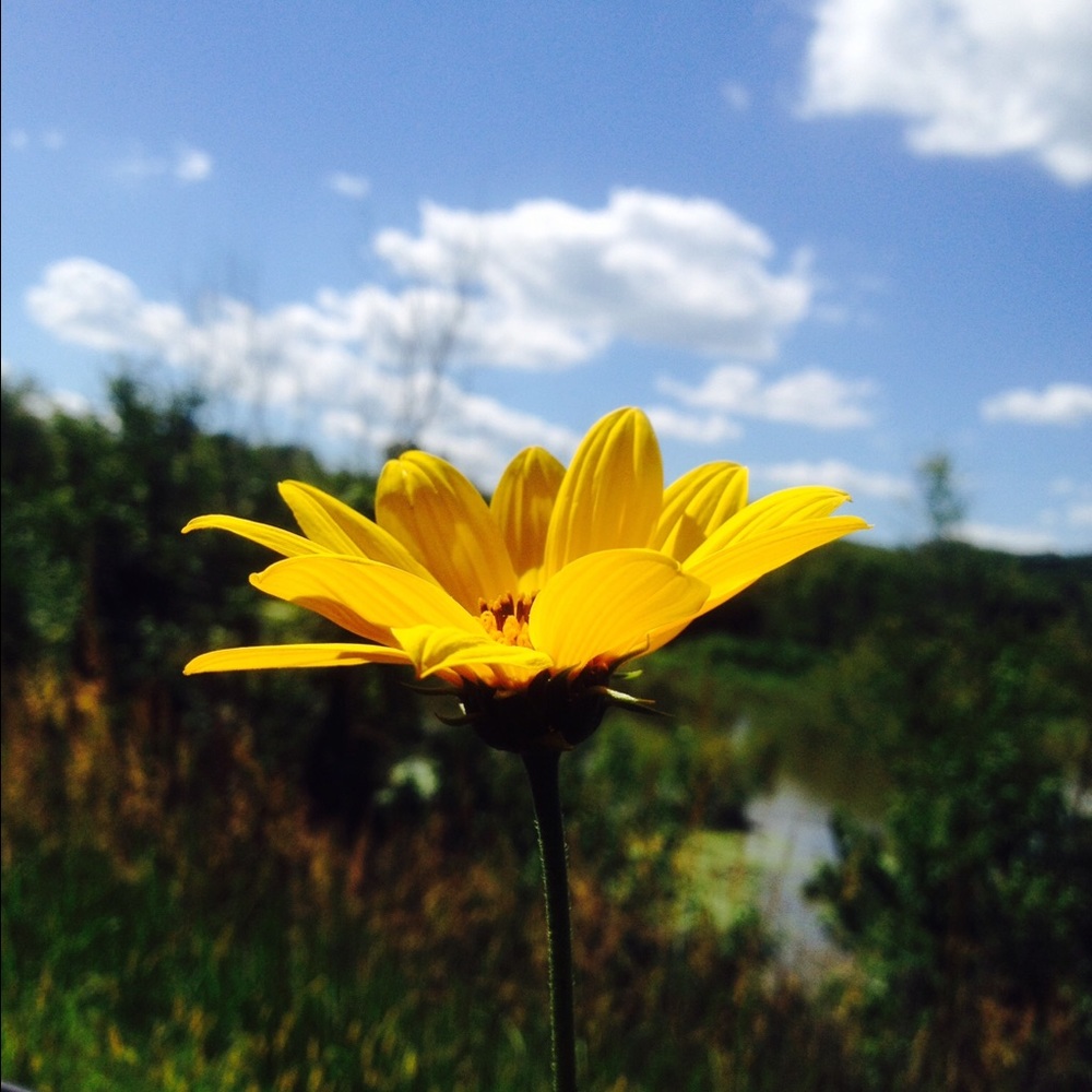 Meet your Posher, Charlotte