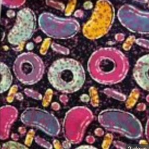 LulaRoe OS Leggings candy crush