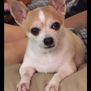 Meet your Posher, Robyn