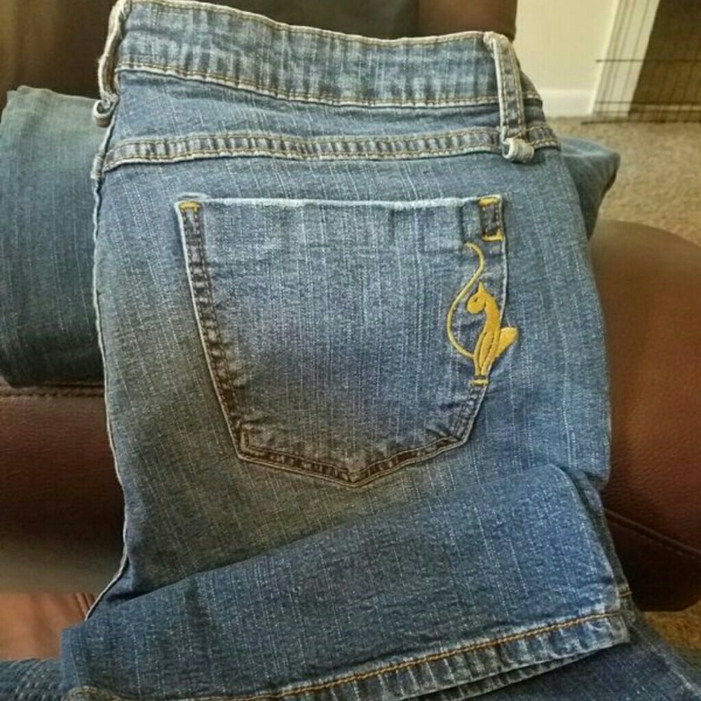 Phat fashion silver label